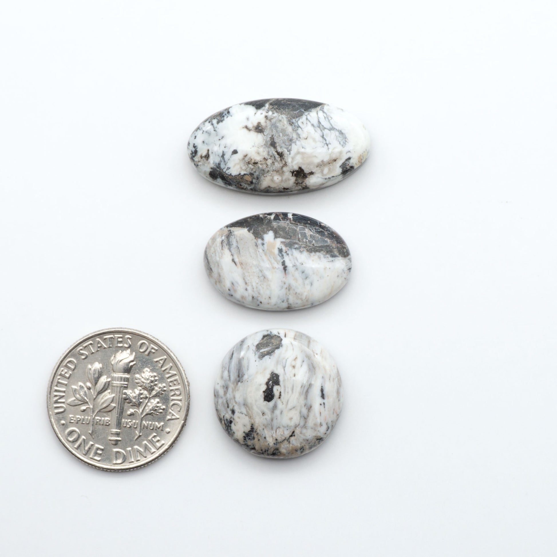 White Buffalo stone cabochons, white stone with black matrix, polished stones on white background with US dime for scale