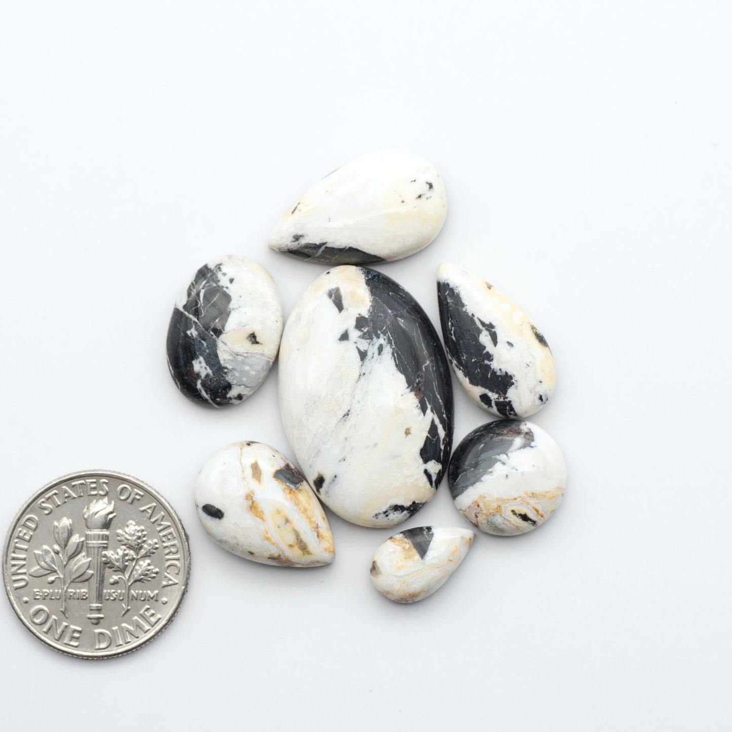 White Buffalo stone cabochons, white stone with black matrix, polished stones on white background with US dime for scale