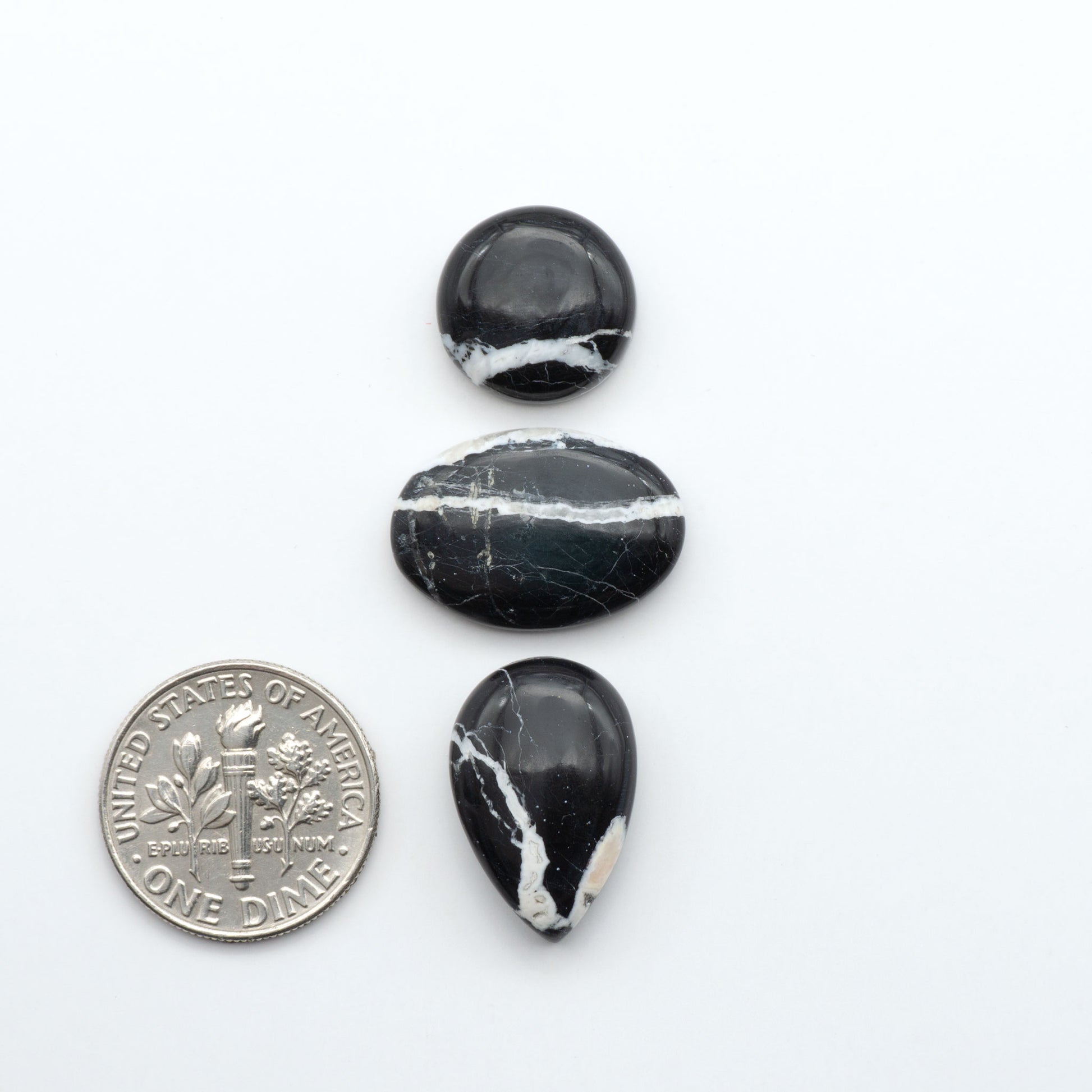White Buffalo stone cabochons, white stone with black matrix, polished stones on white background with US dime for scale