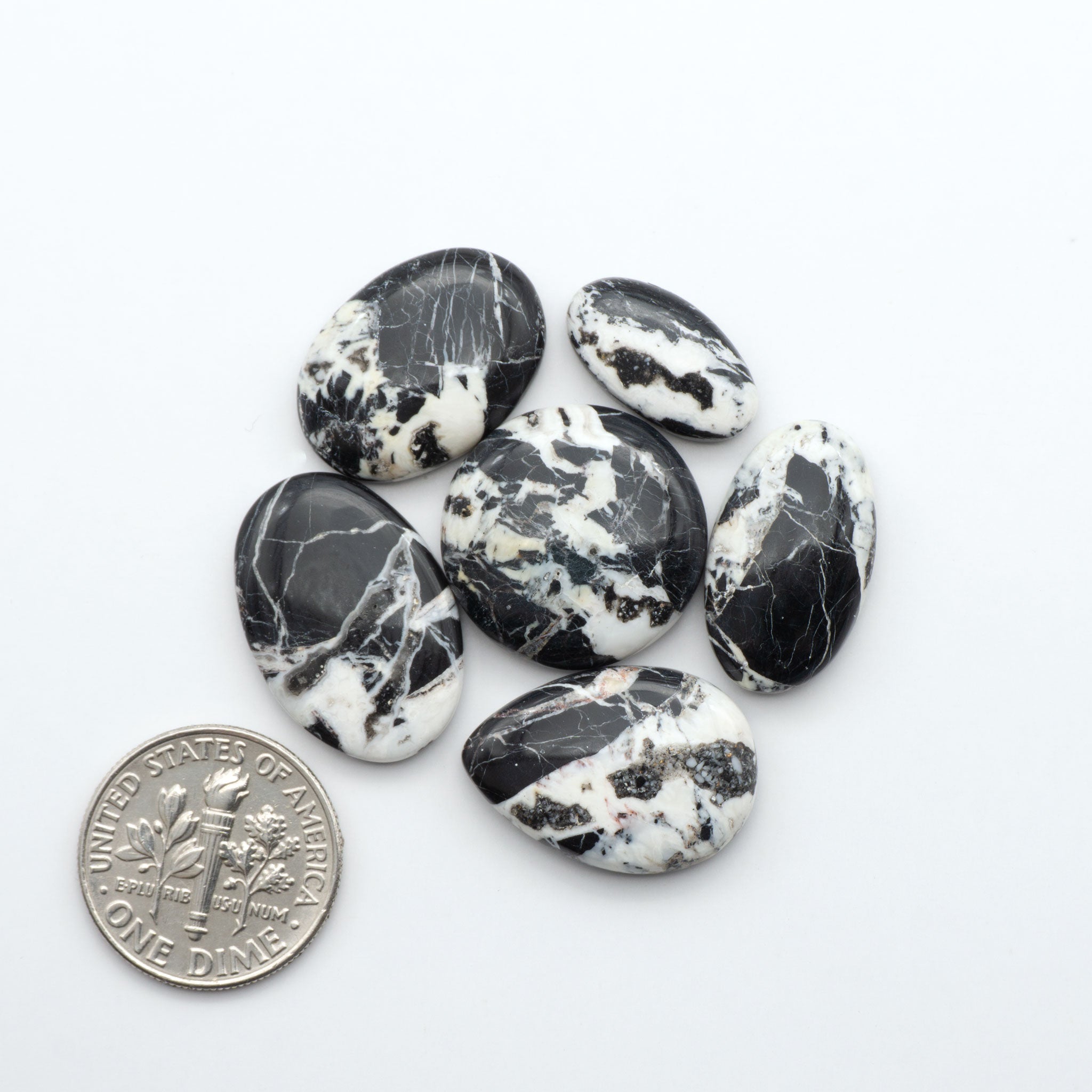 Natural White Buffalo Stone Cabochons – Cutting Edge Turquoise