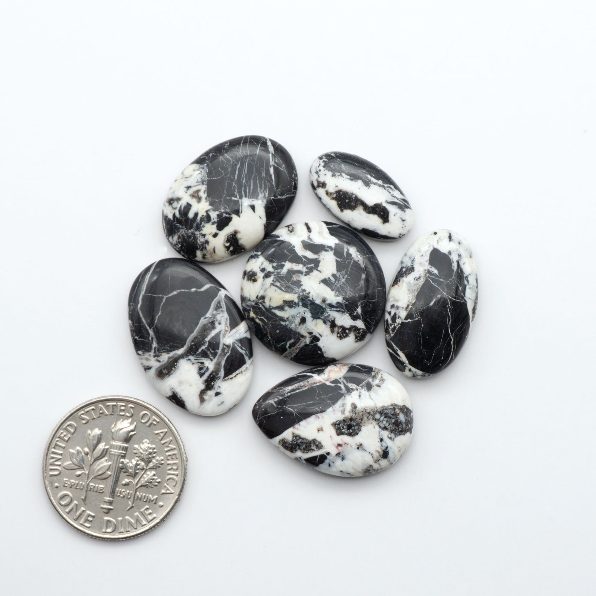 White Buffalo stone cabochons, white stone with black matrix, polished stones on white background with US dime for scale