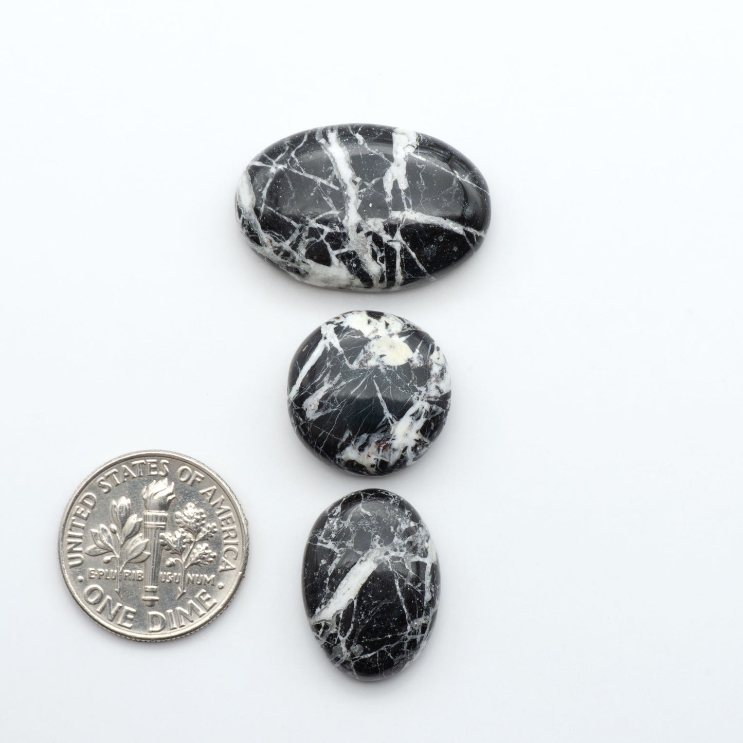 White Buffalo stone cabochons, white stone with black matrix, polished stones on white background with US dime for scale