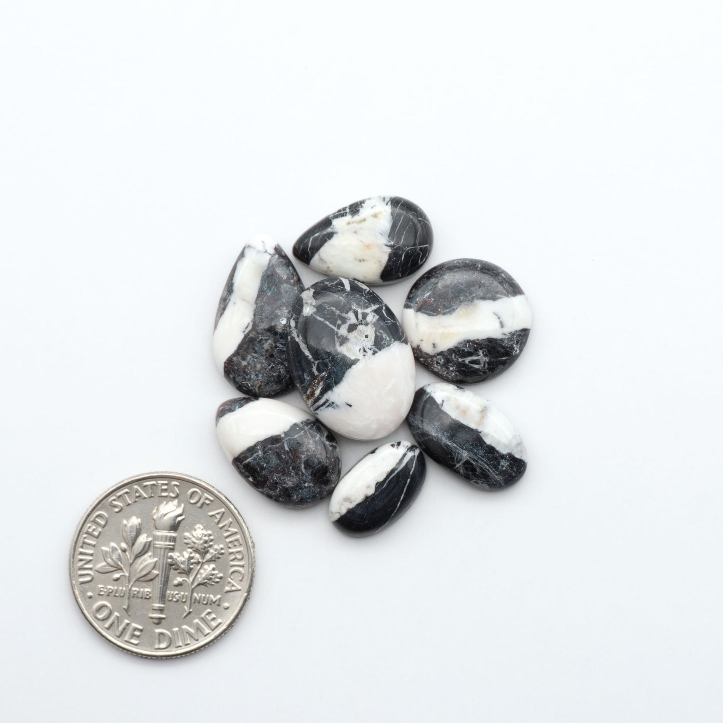 White Buffalo stone cabochons, white stone with black matrix, polished stones on white background with US dime for scale