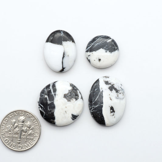 White Buffalo stone cabochons, white stone with black matrix, polished stones on white background with US dime for scale