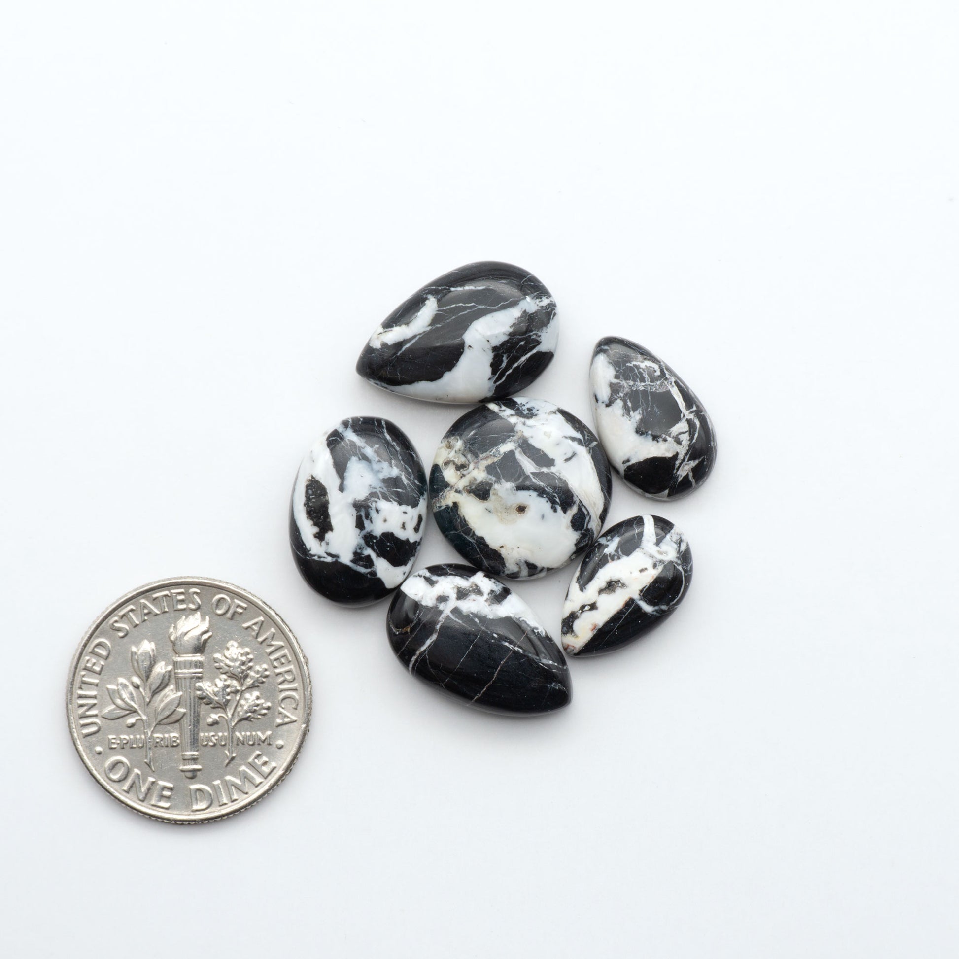 White Buffalo stone cabochons, white stone with black matrix, polished stones on white background with US dime for scale