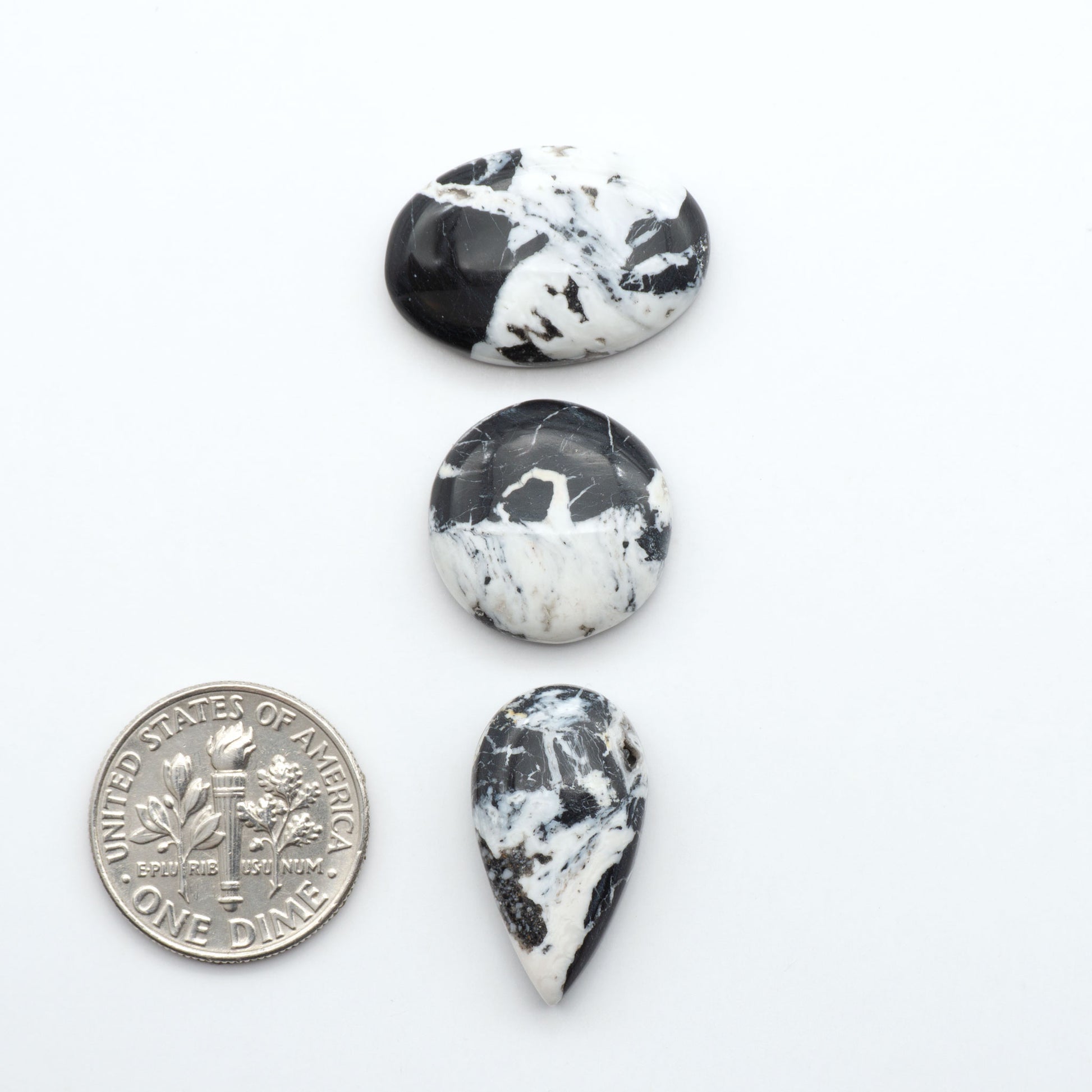 White Buffalo stone cabochons, white stone with black matrix, polished stones on a white background, with a US dime for scale