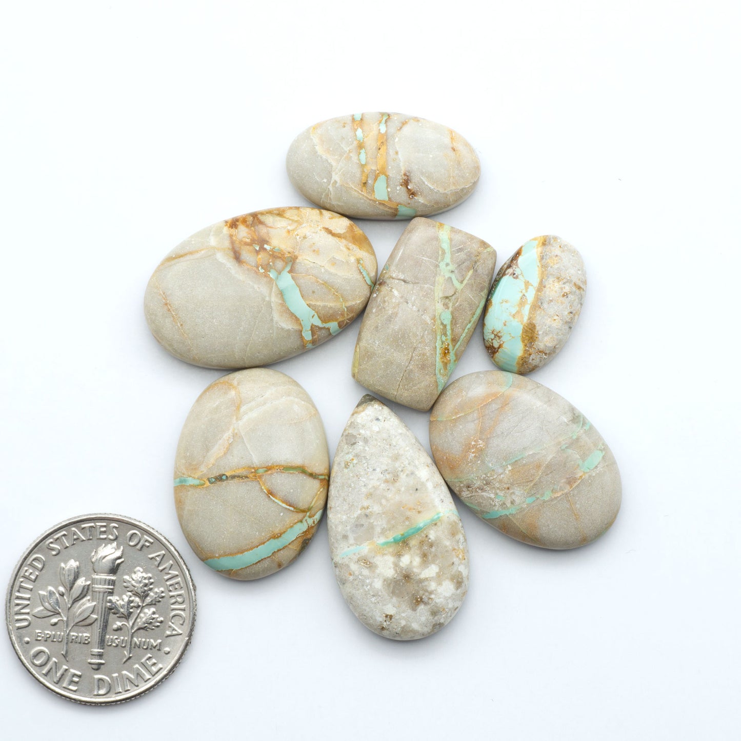 Crow Springs Ribbon turquoise cabochons, rich color with distinctive matrix, polished stones on white background with US dime for scale