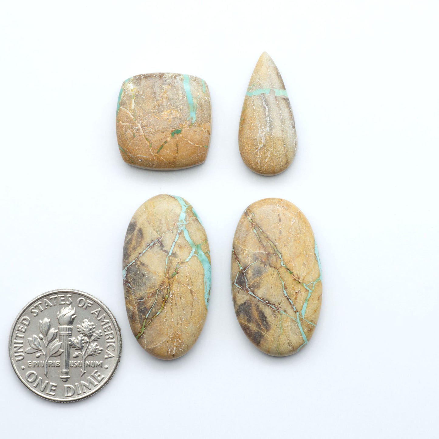 Crow Springs Ribbon turquoise cabochons, rich color with distinctive matrix, polished stones on white background with US dime for scale