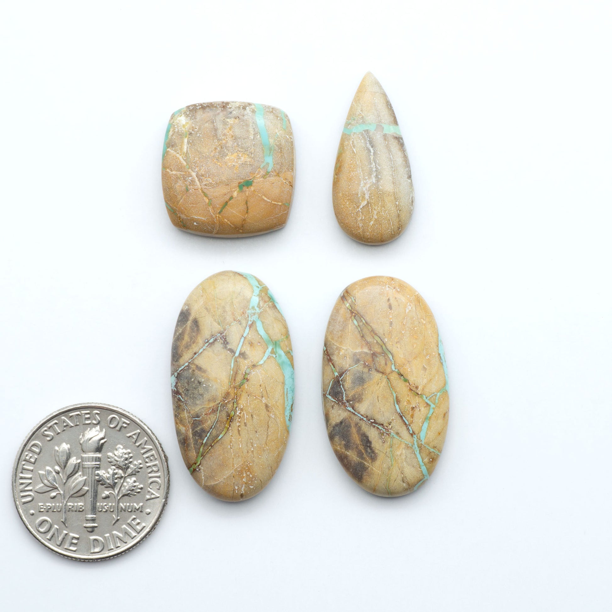 Crow Springs Ribbon turquoise cabochons, rich color with distinctive matrix, polished stones on white background with US dime for scale