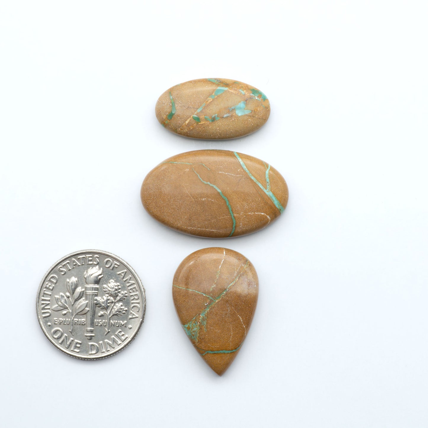 Crow Springs Ribbon turquoise cabochons, rich color with distinctive matrix, polished stones on white background with US dime for scale