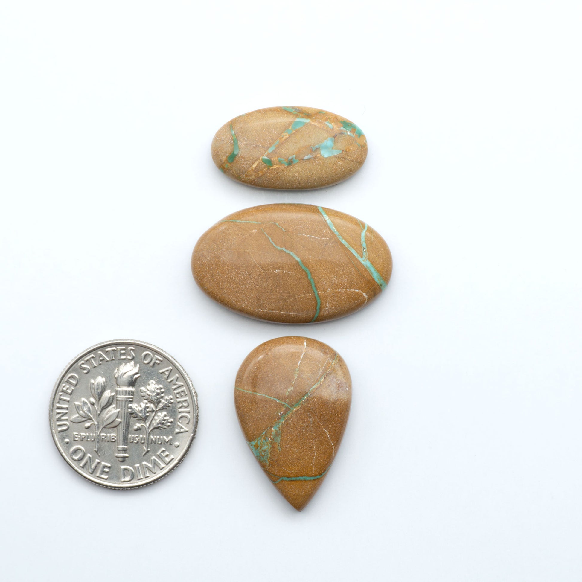 Crow Springs Ribbon turquoise cabochons, rich color with distinctive matrix, polished stones on white background with US dime for scale