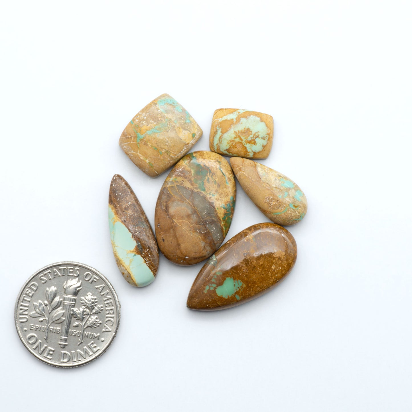Crow Springs Ribbon turquoise cabochons, rich color with distinctive matrix, polished stones on white background with US dime for scale