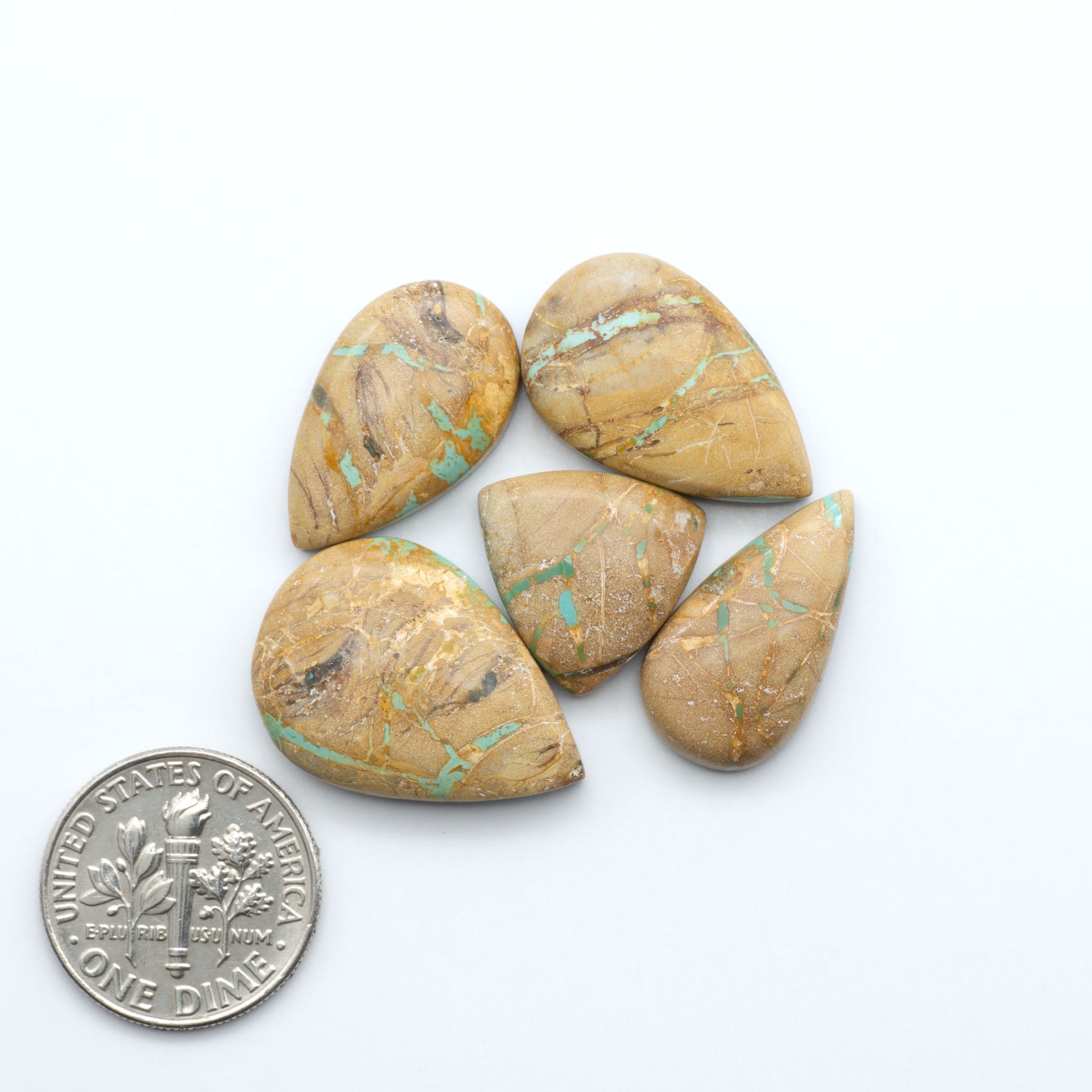 Crow Springs Ribbon turquoise cabochons, rich color with distinctive matrix, polished stones on white background with US dime for scale