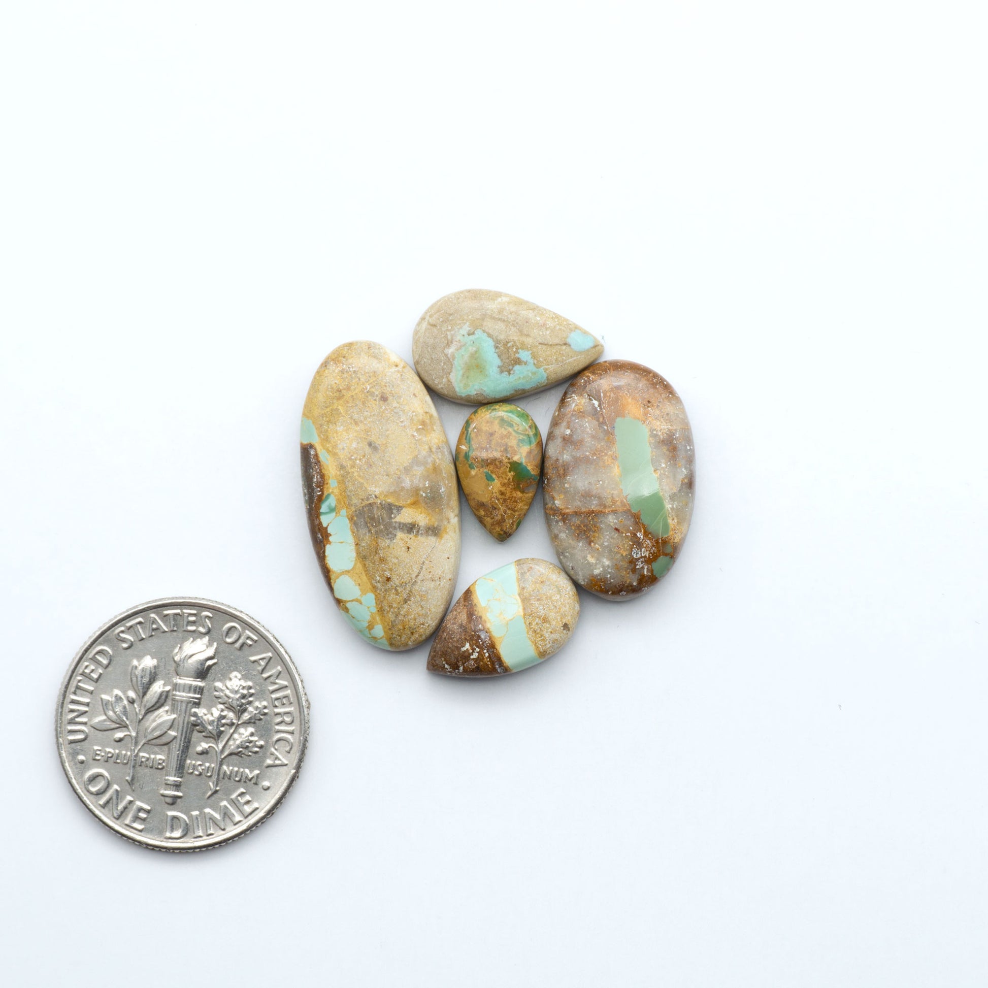Crow Springs Ribbon turquoise cabochons, rich color with distinctive matrix, polished stones on white background with US dime for scale