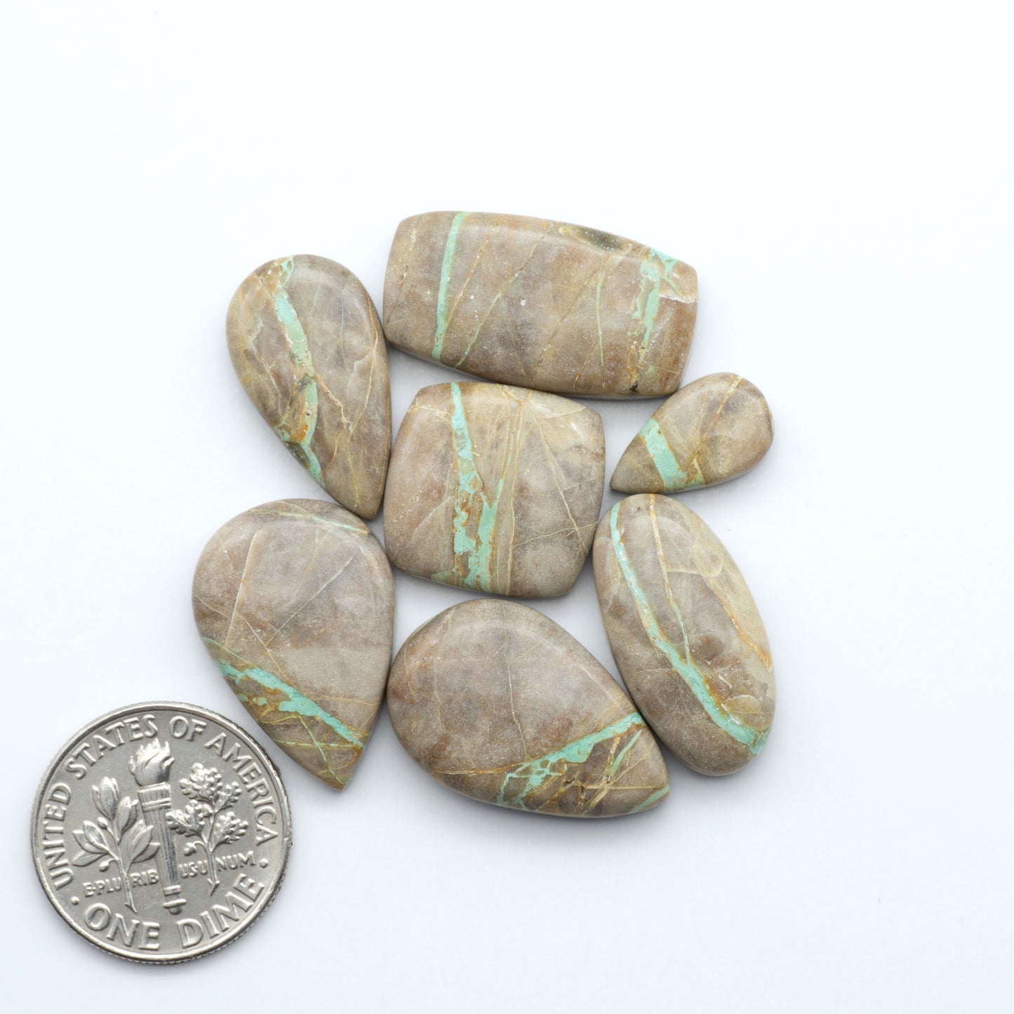 Crow Springs Ribbon turquoise cabochons, rich color with distinctive matrix, polished stones on white background with US dime for scale
