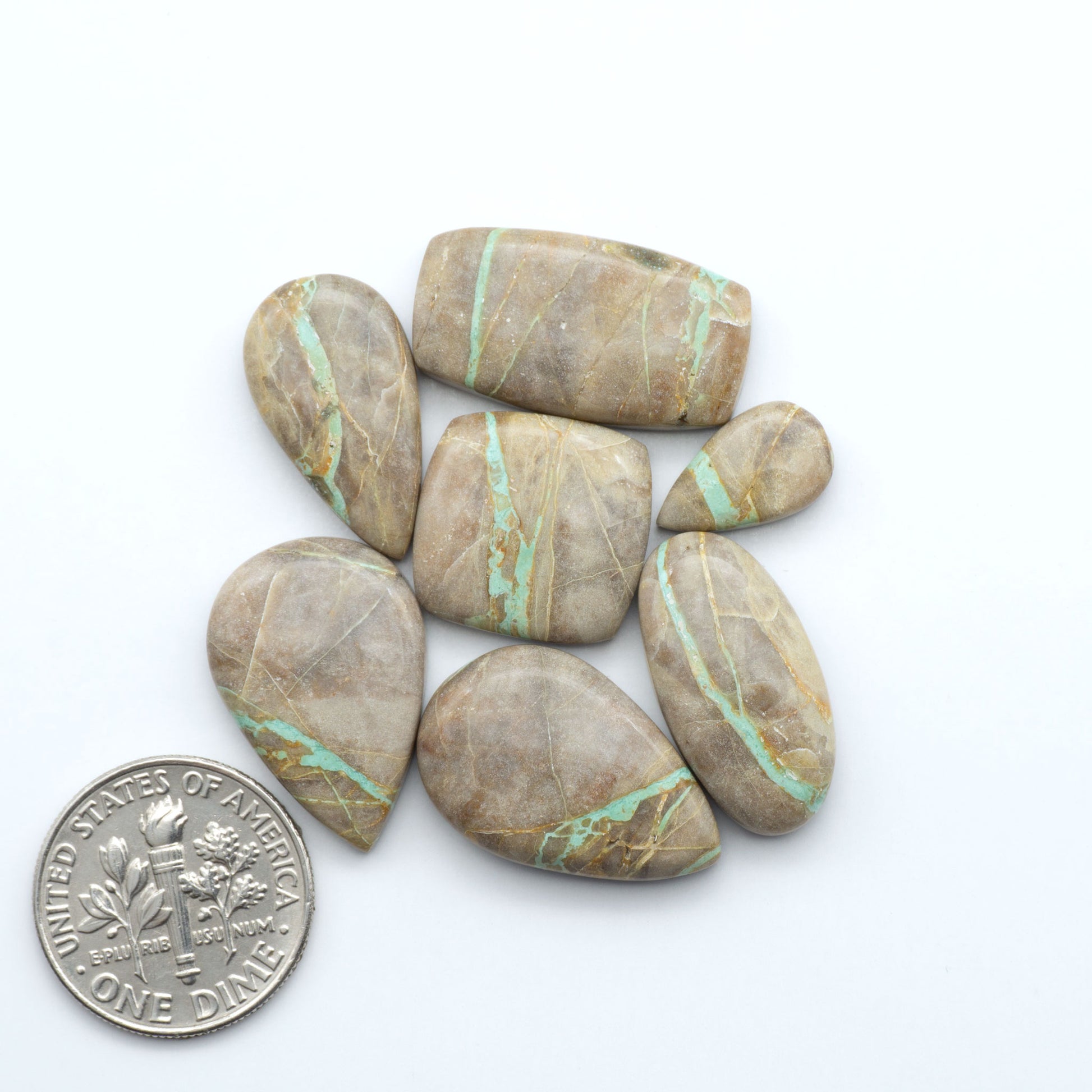 Crow Springs Ribbon turquoise cabochons, rich color with distinctive matrix, polished stones on white background with US dime for scale