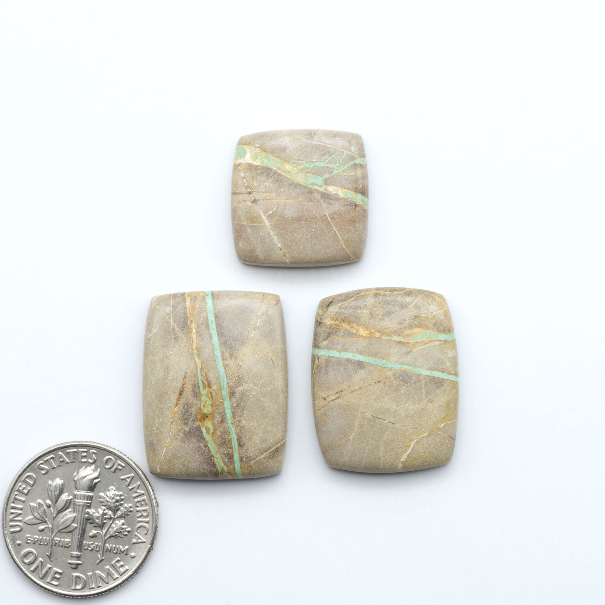 Crow Springs Ribbon Turquoise cabochons, rich color with distinctive matrix, polished stones on a white background, with a US dime for scale