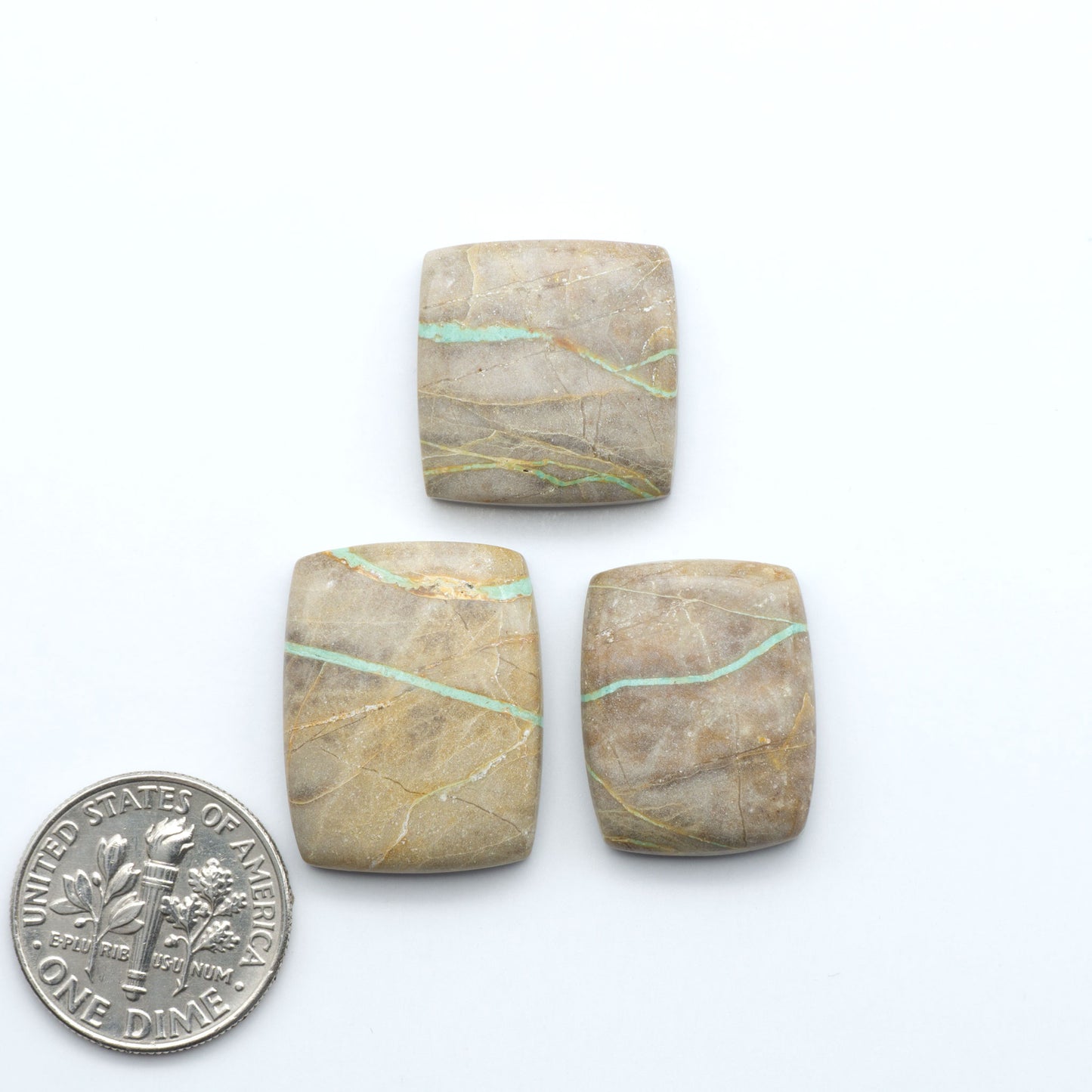 Crow Springs Turquoise cabochons with green ribbon pattern and brown matrix, on a white background with a dime for scale