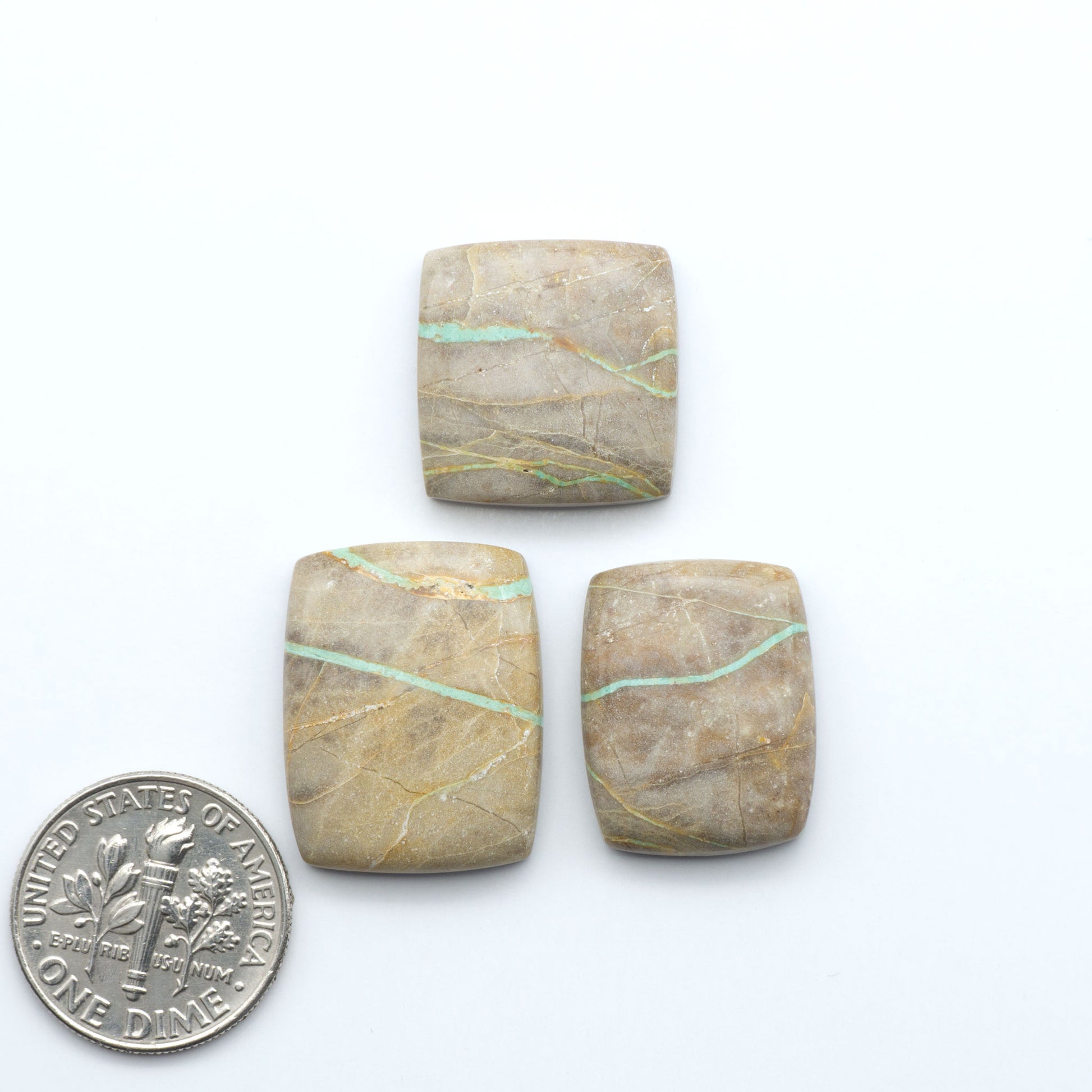 Crow Springs Turquoise cabochons with green ribbon pattern and brown matrix, on a white background with a dime for scale