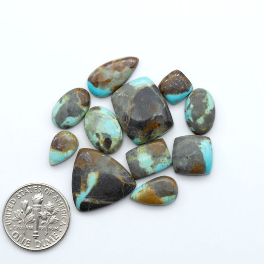 Number 8 turquoise cabochons, classic color with distinctive matrix, polished stones on white background with US dime for scale