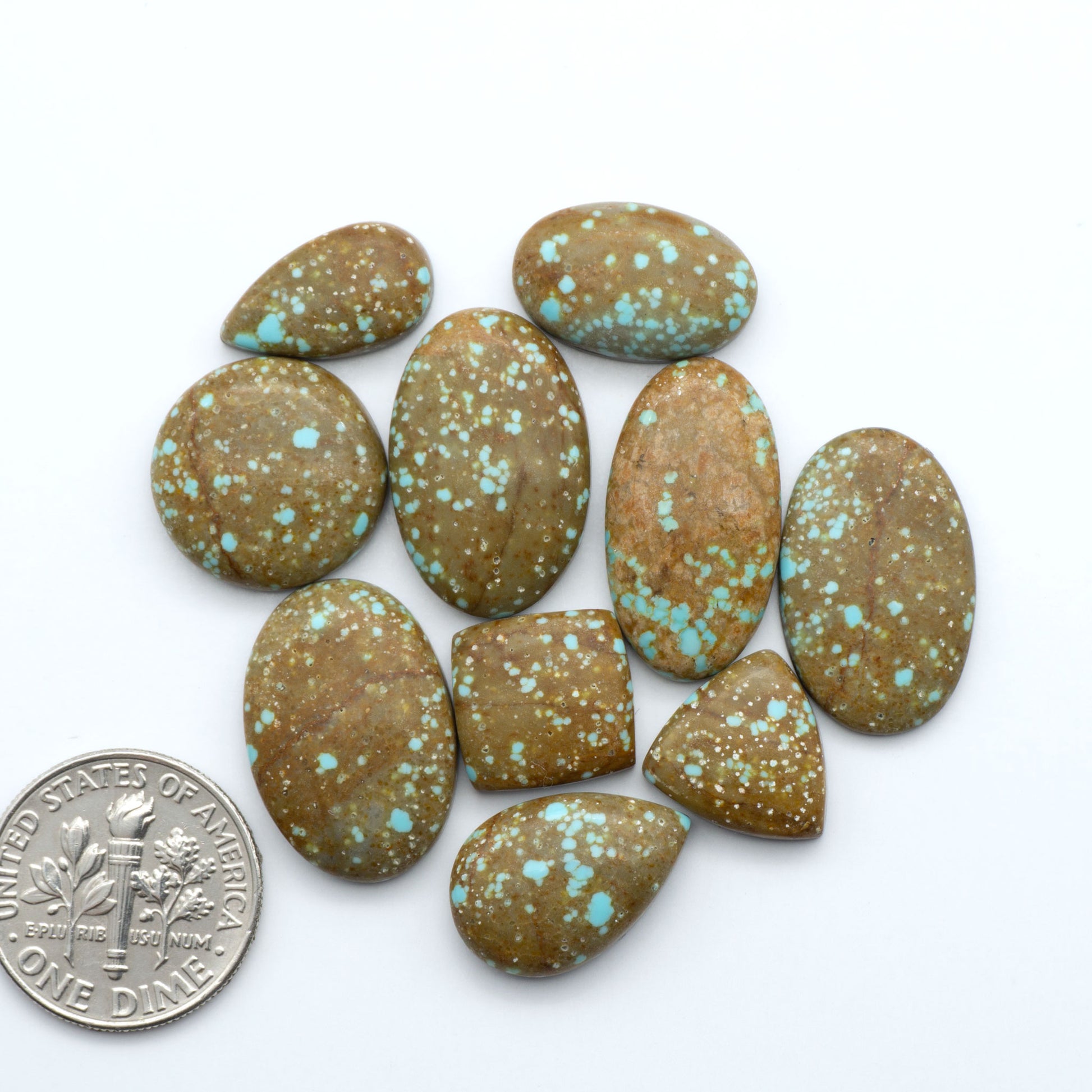 Number 8 turquoise cabochons, classic color with distinctive matrix, polished stones on white background with US dime for scale