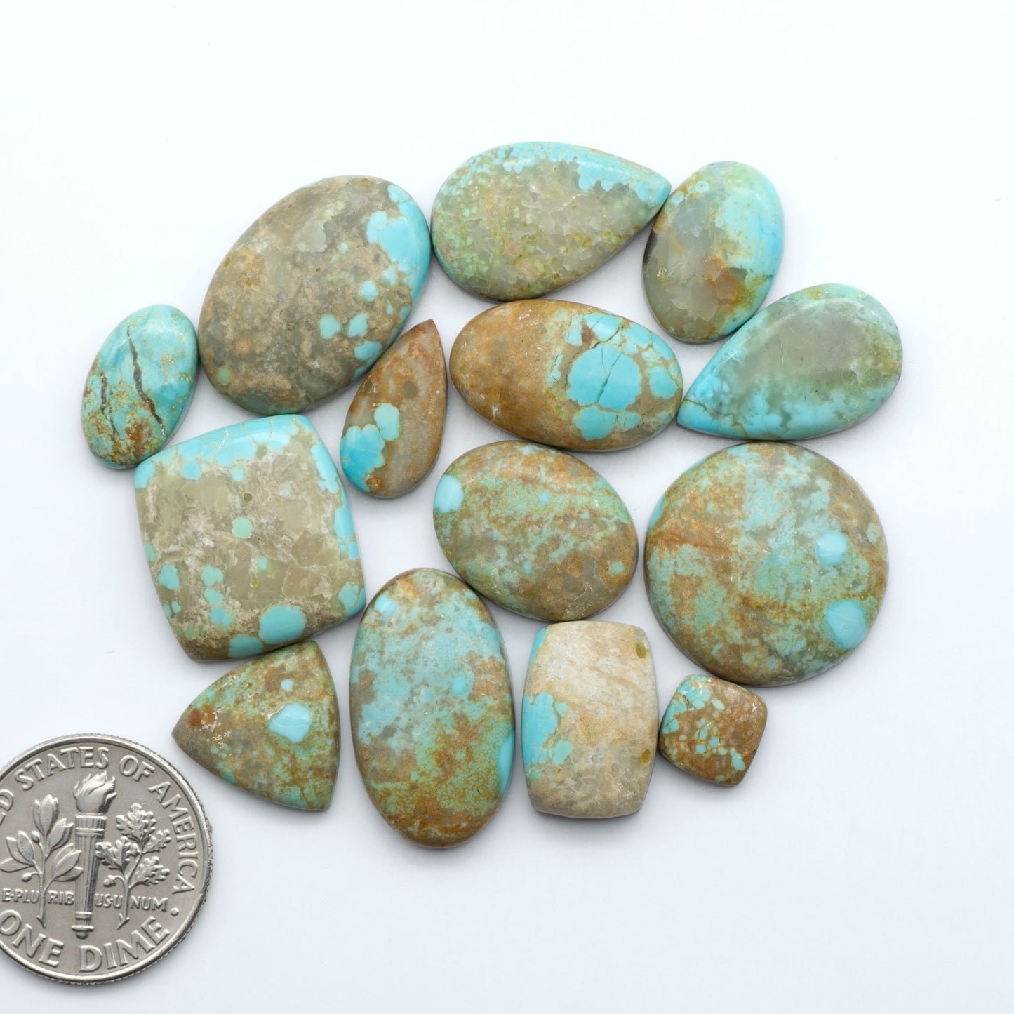 Number 8 turquoise cabochons, classic color with distinctive matrix, polished stones on white background with US dime for scale