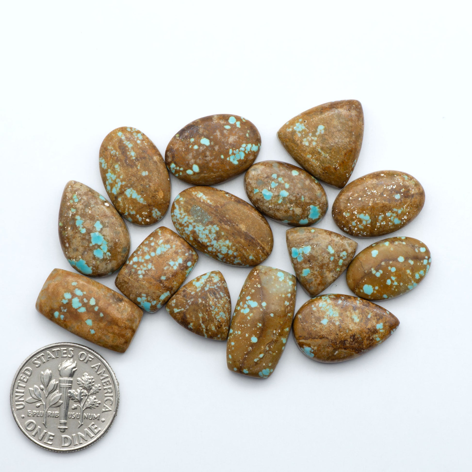 Number 8 turquoise cabochons, classic color with distinctive matrix, polished stones on white background with US dime for scale