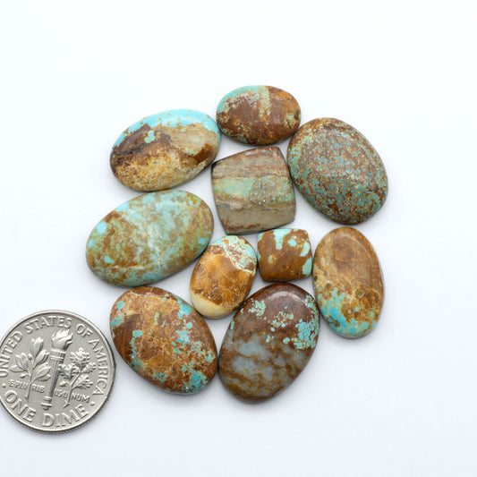 Number 8 turquoise cabochons, classic color with distinctive matrix, polished stones on white background with US dime for scale