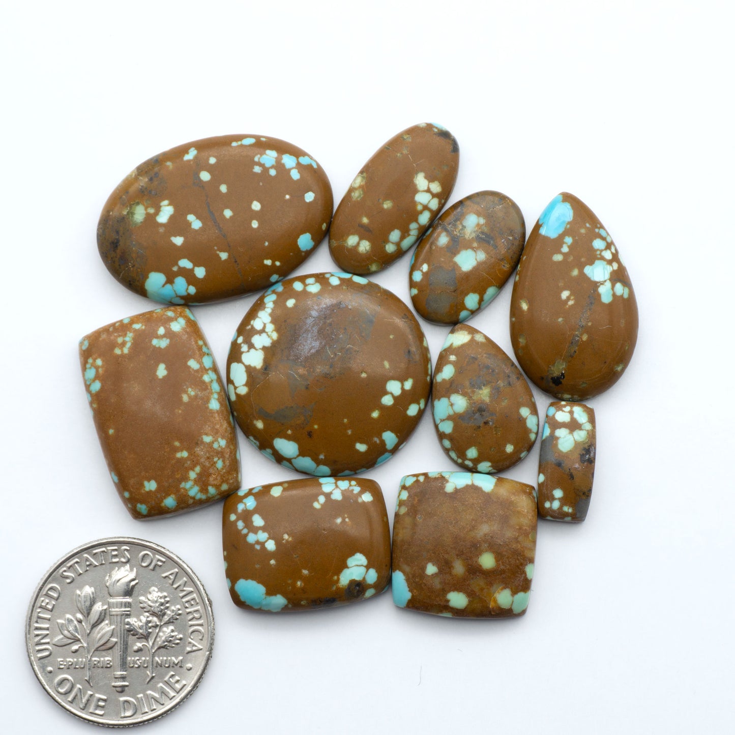 Number 8 turquoise cabochons, classic color with distinctive matrix, polished stones on white background with US dime for scale