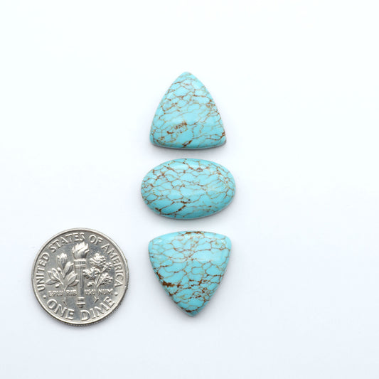 Number 8 turquoise cabochons, classic color with distinctive matrix, polished stones on white background with US dime for scale