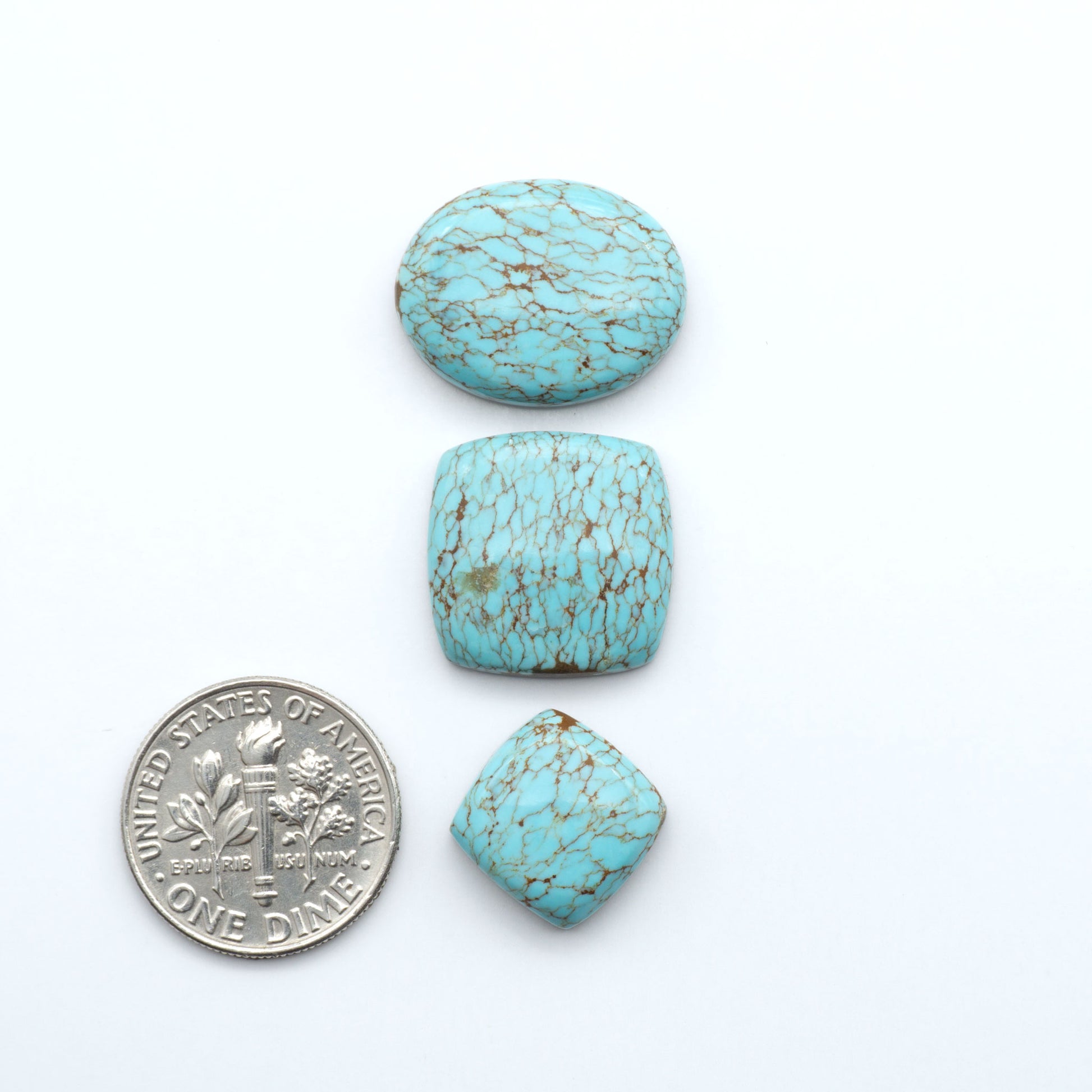 Number 8 turquoise cabochons, classic color with distinctive matrix, polished stones on white background with US dime for scale