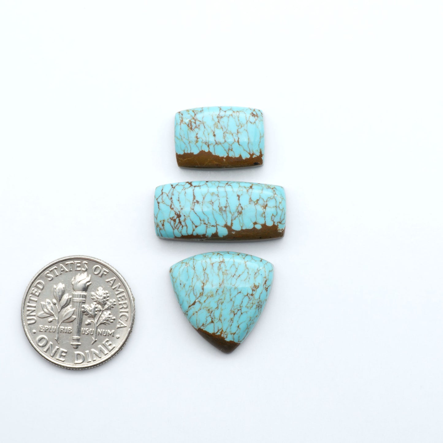 Number 8 turquoise cabochons, classic color with distinctive matrix, polished stones on white background with US dime for scale