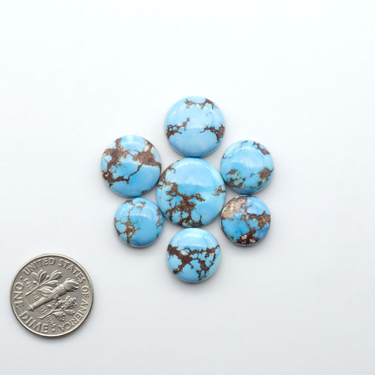 Golden Hills Turquoise cabochons, icy blue to lavender tones with chocolate matrix, polished stones on a white background with a US dime for scale