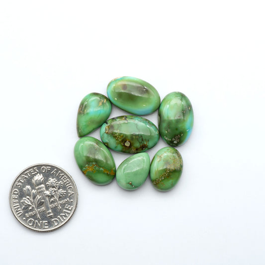 Sonoran Mountain Turquoise cabochons, blue-green color with natural matrix, polished stones on a white background with a US dime for scale