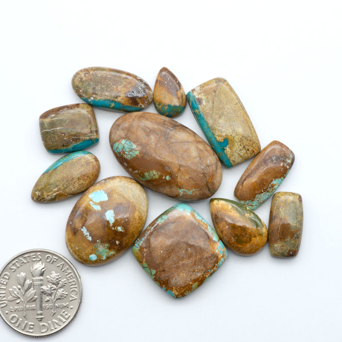 Royston Turquoise cabochons, blue-green color with natural matrix, polished stones on a white background, with a US dime for scale