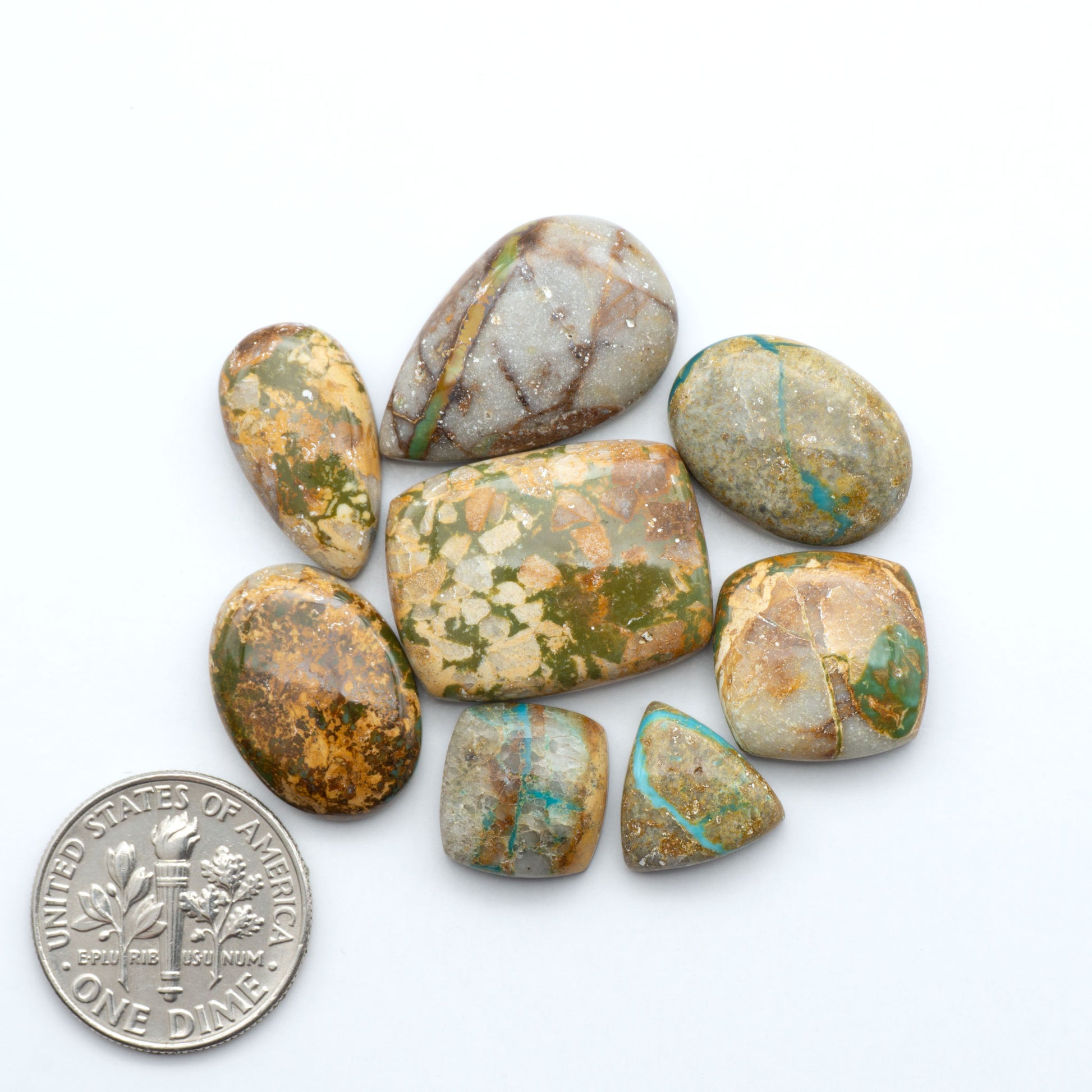 Royston Turquoise cabochons, blue-green color with natural matrix, polished stones on a white background, with a US dime for scale