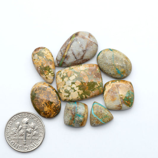 Royston Turquoise cabochons, blue-green color with natural matrix, polished stones on a white background, with a US dime for scale