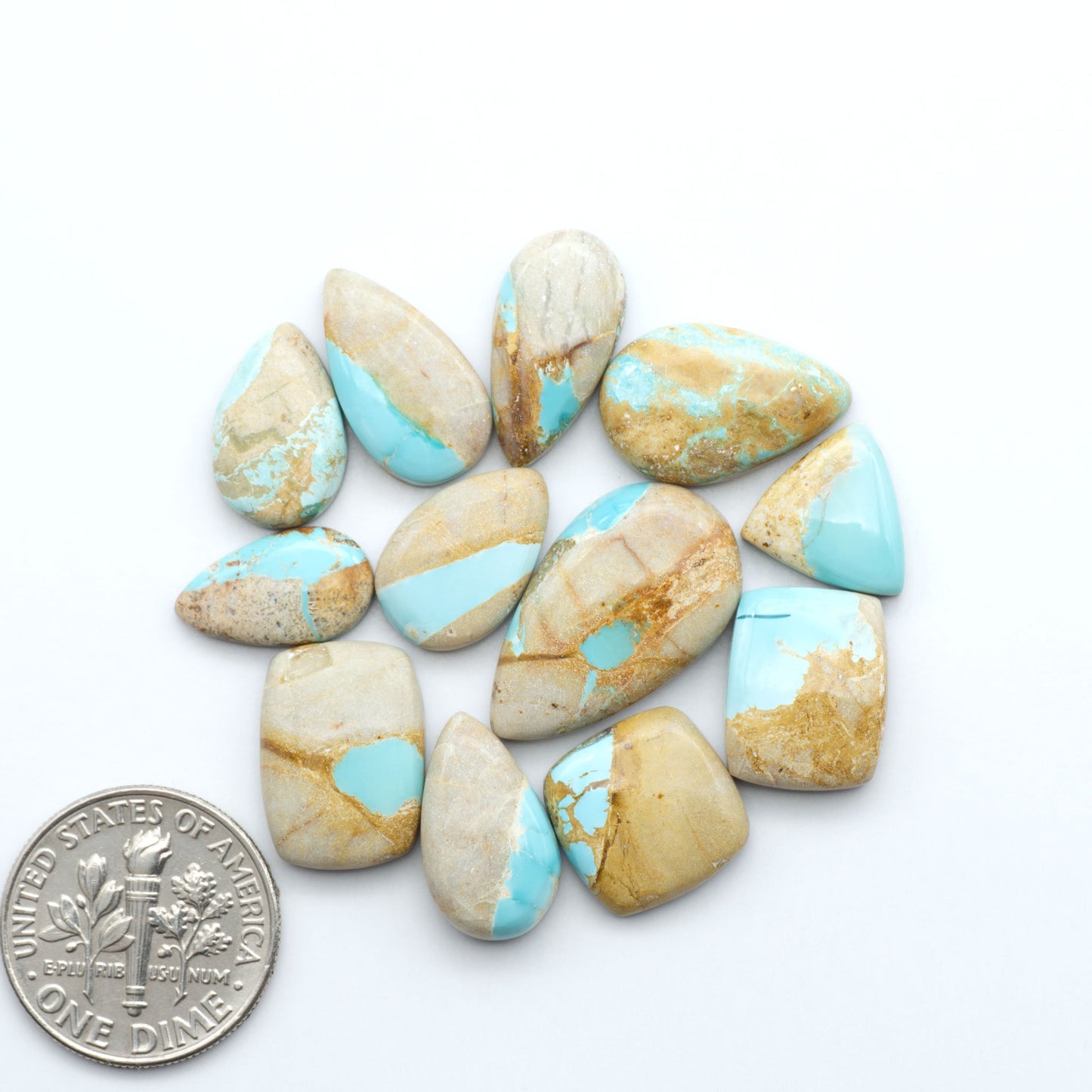 Royston Turquoise cabochons, blue-green color with natural matrix, polished stones on a white background, with a US dime for scale