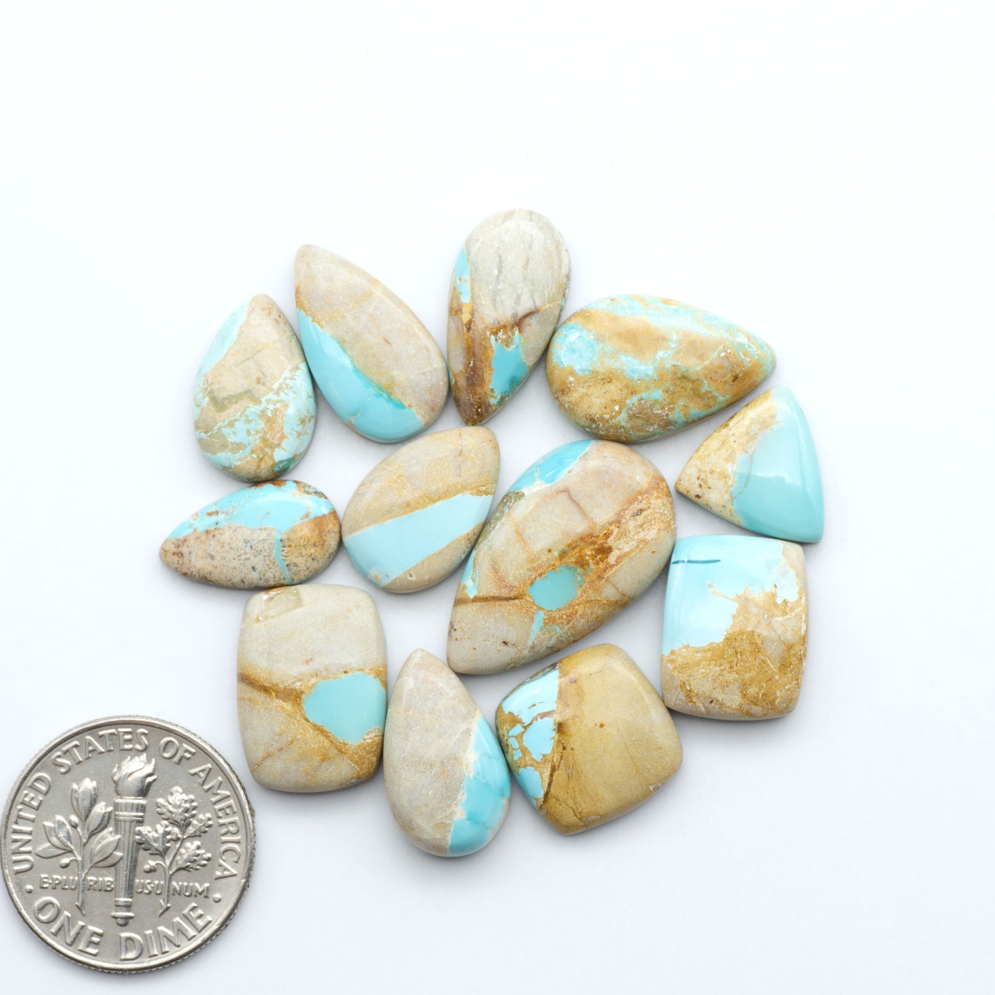 Royston Turquoise cabochons, blue-green color with natural matrix, polished stones on a white background, with a US dime for scale