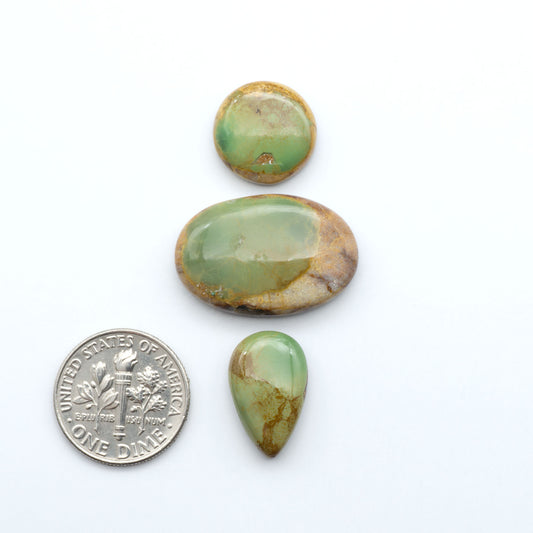 Royston Turquoise cabochons, blue-green color with natural matrix, polished stones on a white background, with a US dime for scale