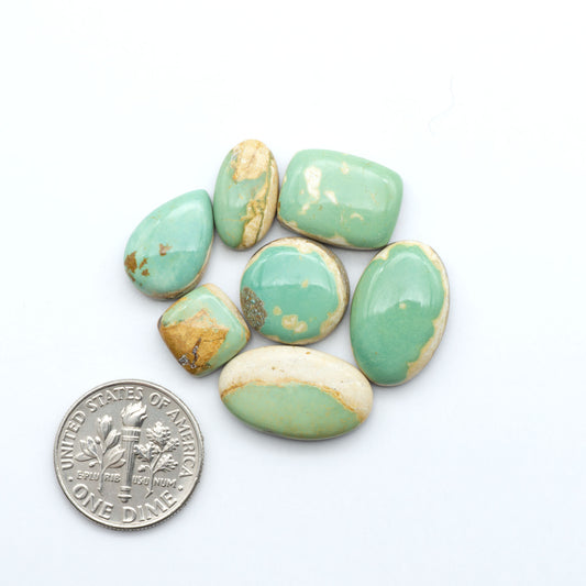 Royston Turquoise cabochons, blue-green color with natural matrix, polished stones on a white background, with a US dime for scale
