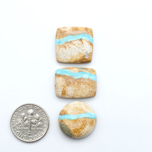 Royston Turquoise cabochons, blue-green color with natural matrix, polished stones on a white background, with a US dime for scale
