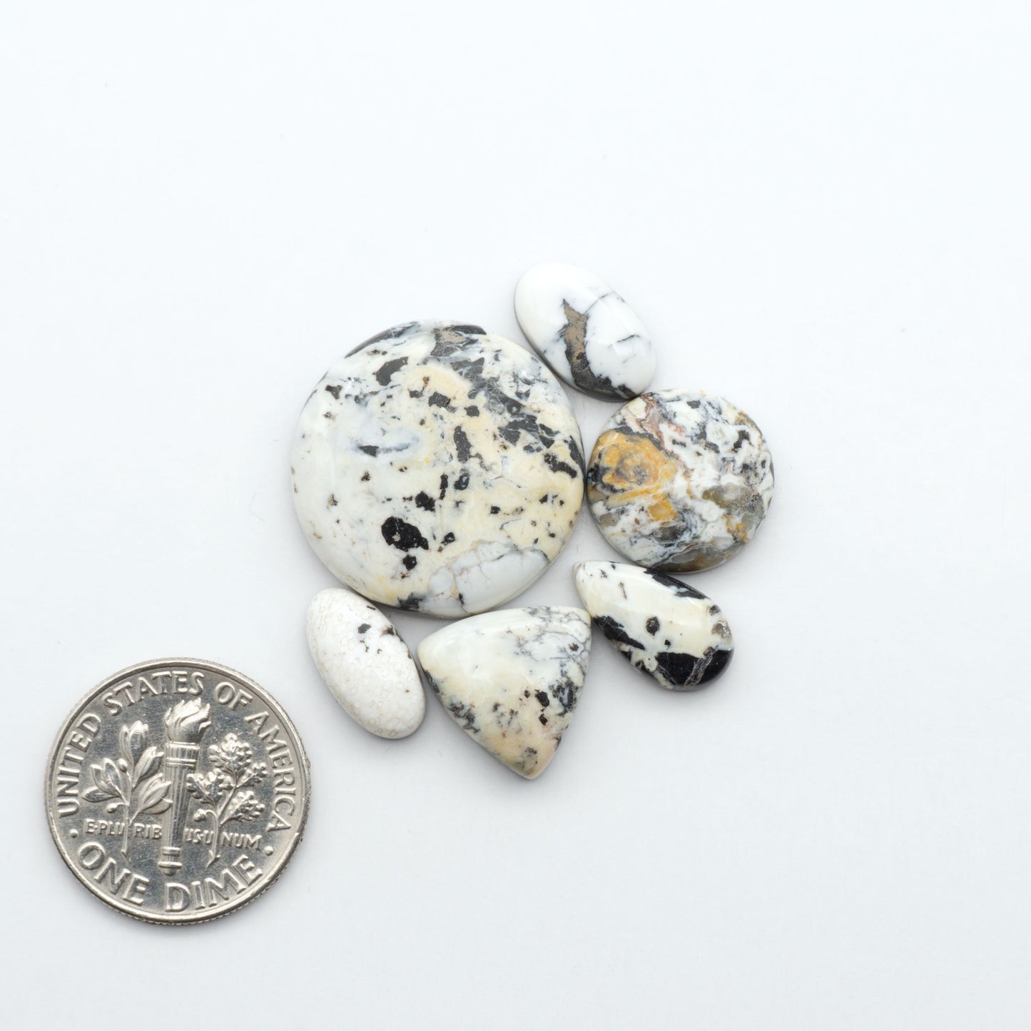 White Buffalo stone cabochons, white stone with black matrix, polished stones on a white background, with a US dime for scale