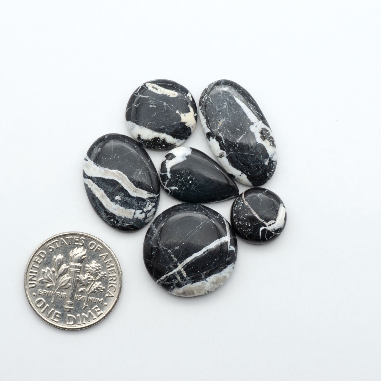 White Buffalo stone cabochons, white stone with black matrix, polished stones on a white background, with a US dime for scale