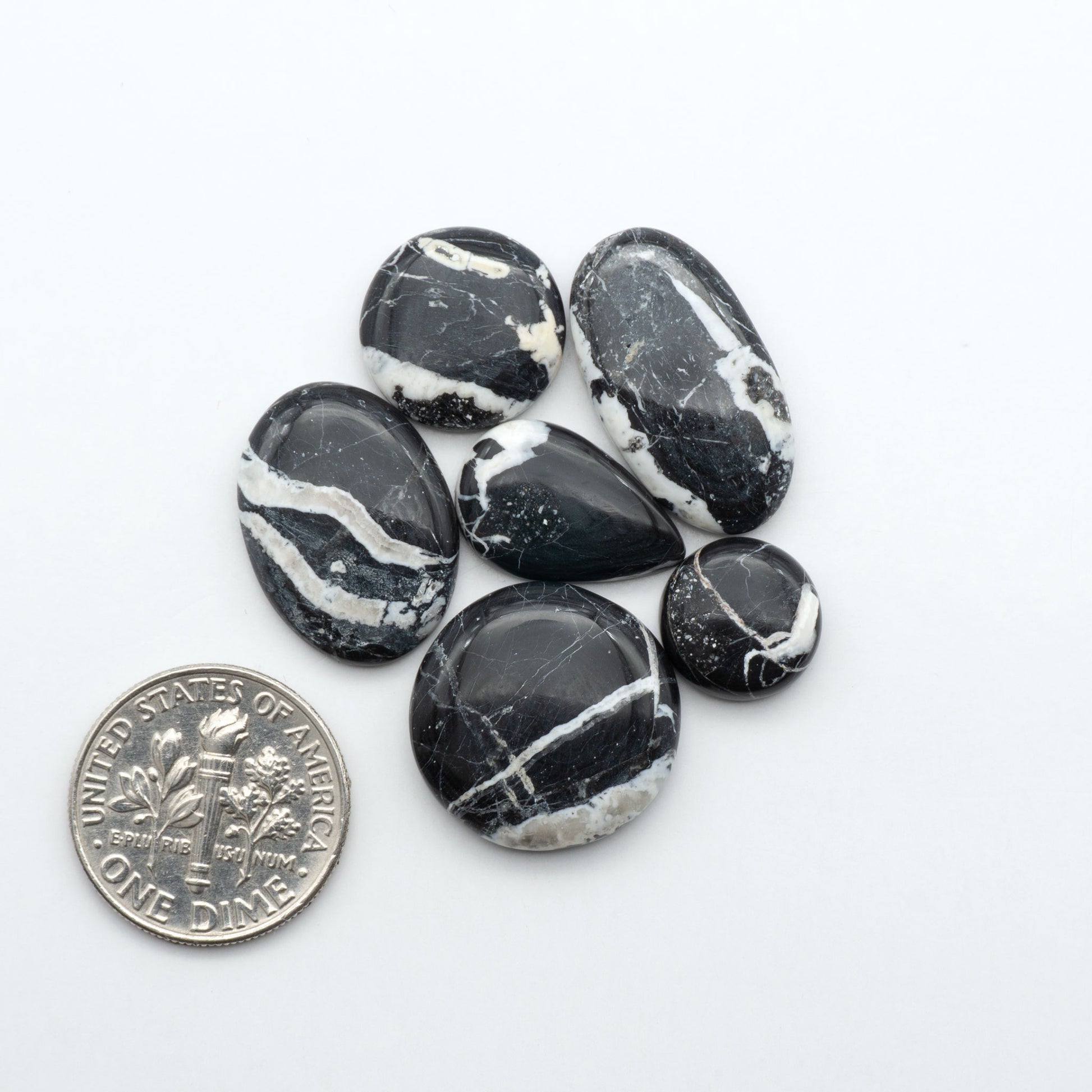 White Buffalo stone cabochons, white stone with black matrix, polished stones on a white background, with a US dime for scale