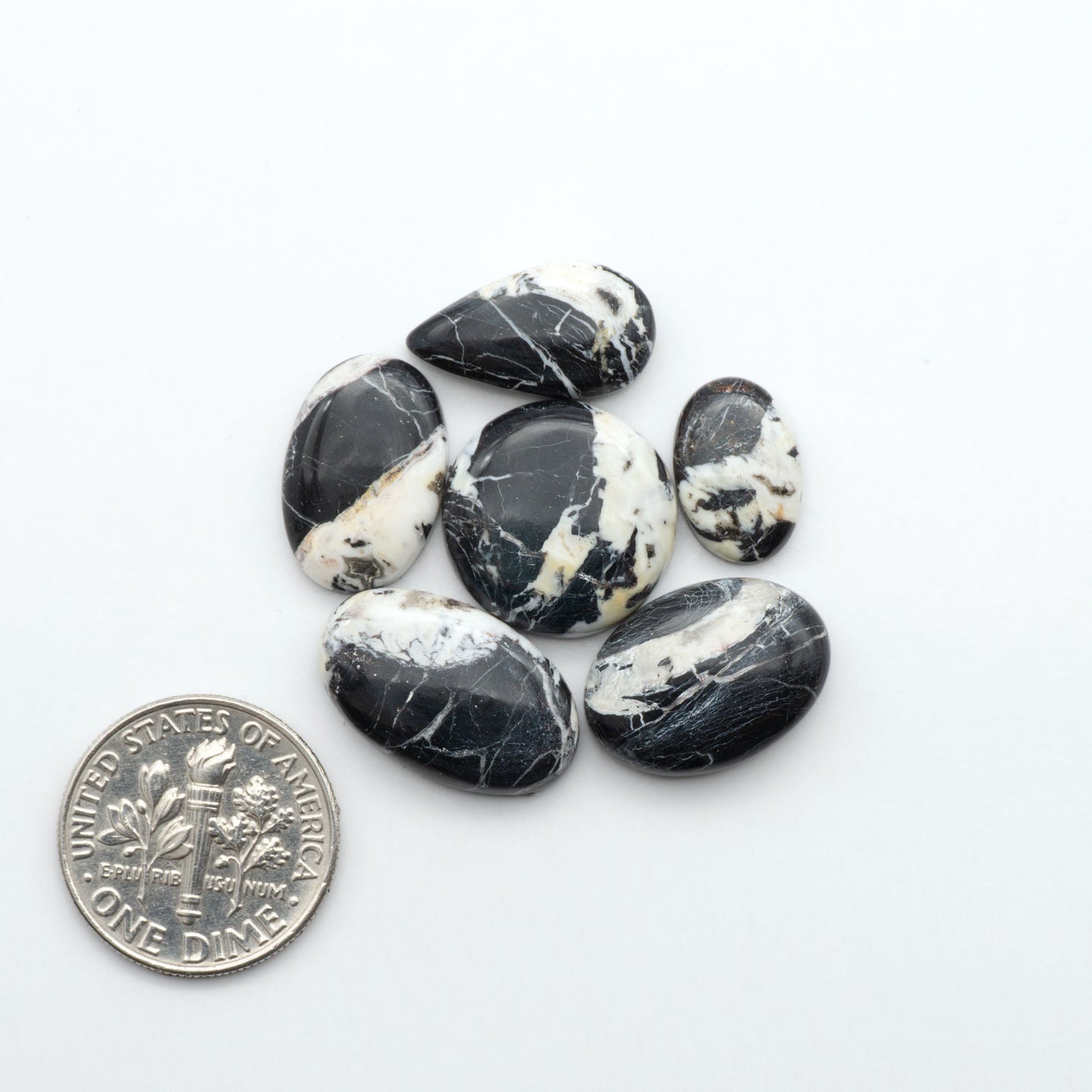 White Buffalo stone cabochons, white stone with black matrix, polished stones on a white background, with a US dime for scale