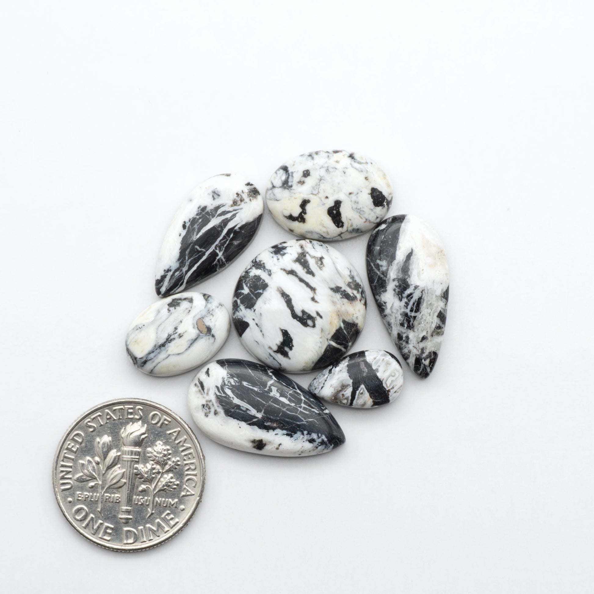 White Buffalo stone cabochons, white stone with black matrix, polished stones on a white background, with a US dime for scale