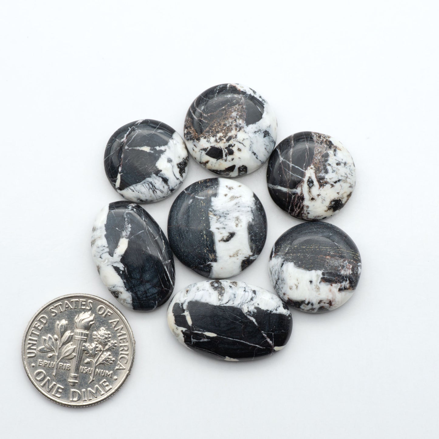 White Buffalo stone cabochons, white stone with black matrix, polished stones on a white background, with a US dime for scale