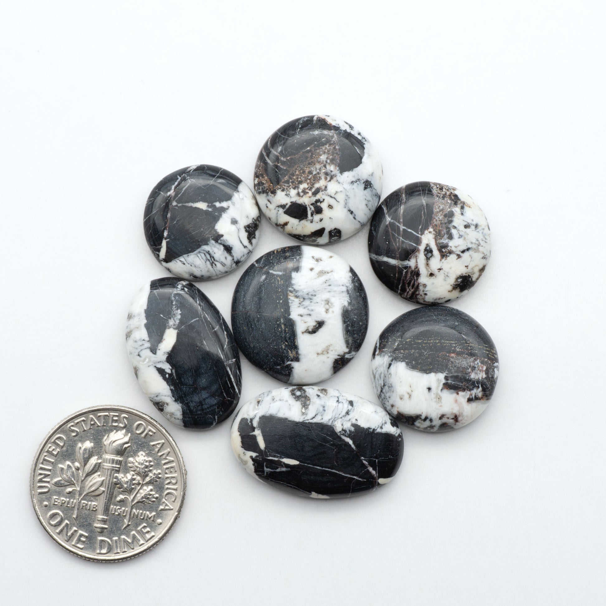 White Buffalo stone cabochons, white stone with black matrix, polished stones on a white background, with a US dime for scale