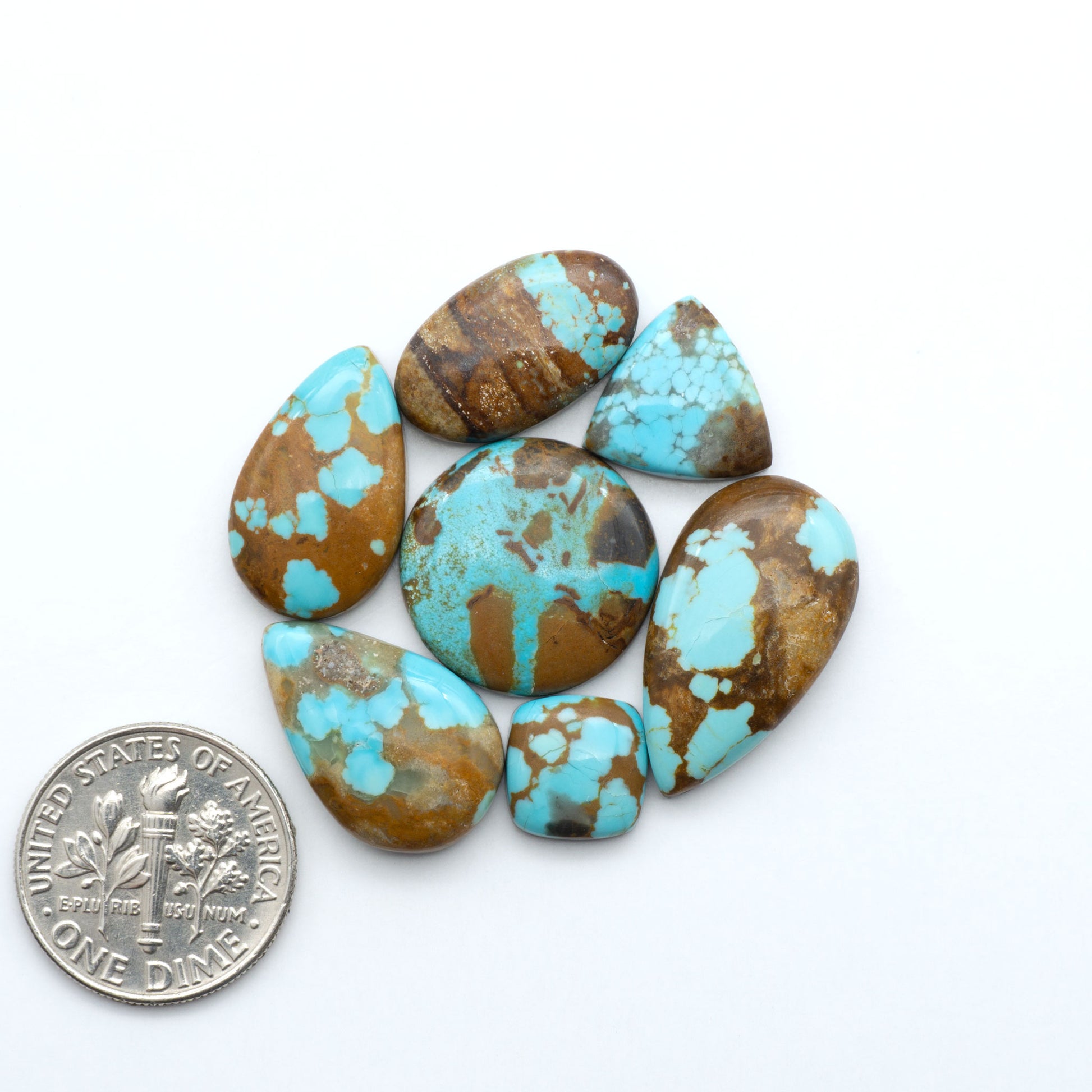 Number 8 Turquoise cabochons, classic color with distinctive matrix, polished stones on a white background with a US dime for scale